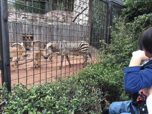 IMG_7160.jpg