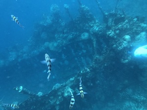IMG_7777.jpg