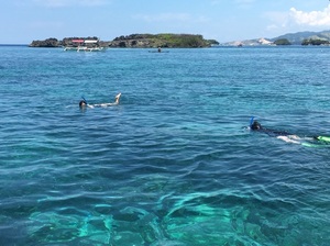 IMG_7977.jpg