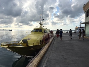 IMG_7988.jpg