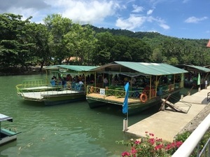 IMG_7994.jpg