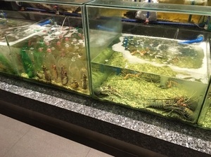 IMG_7997.jpg