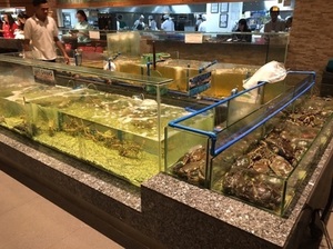 IMG_7998.jpg