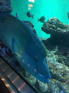 IMG_8069.jpg
