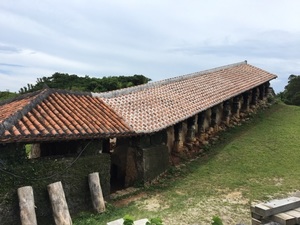 IMG_8226.jpg