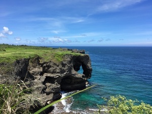 IMG_8279.jpg