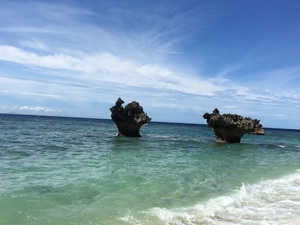 IMG_8386.jpg