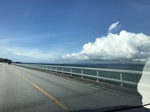 IMG_8422.jpg