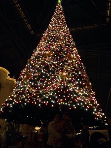IMG_8702.jpg