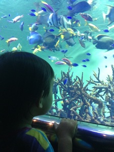 IMG_8950.jpg