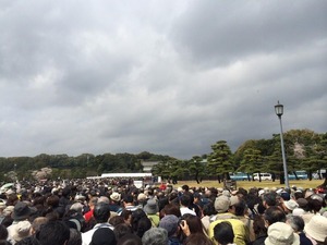 d919d85b-s.jpg