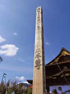 m_IMGP2074.jpg