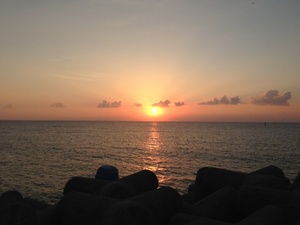 okinawa2013 003.jpg