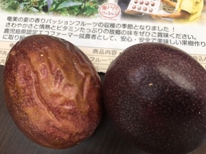 p2.jpg