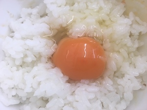tkg1.jpg
